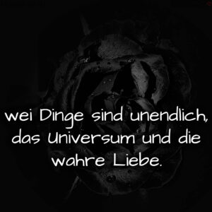 1716375976664dd1a8c1762