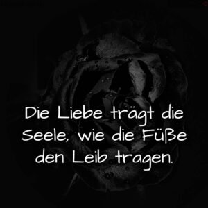 1716375987664dd1b329091