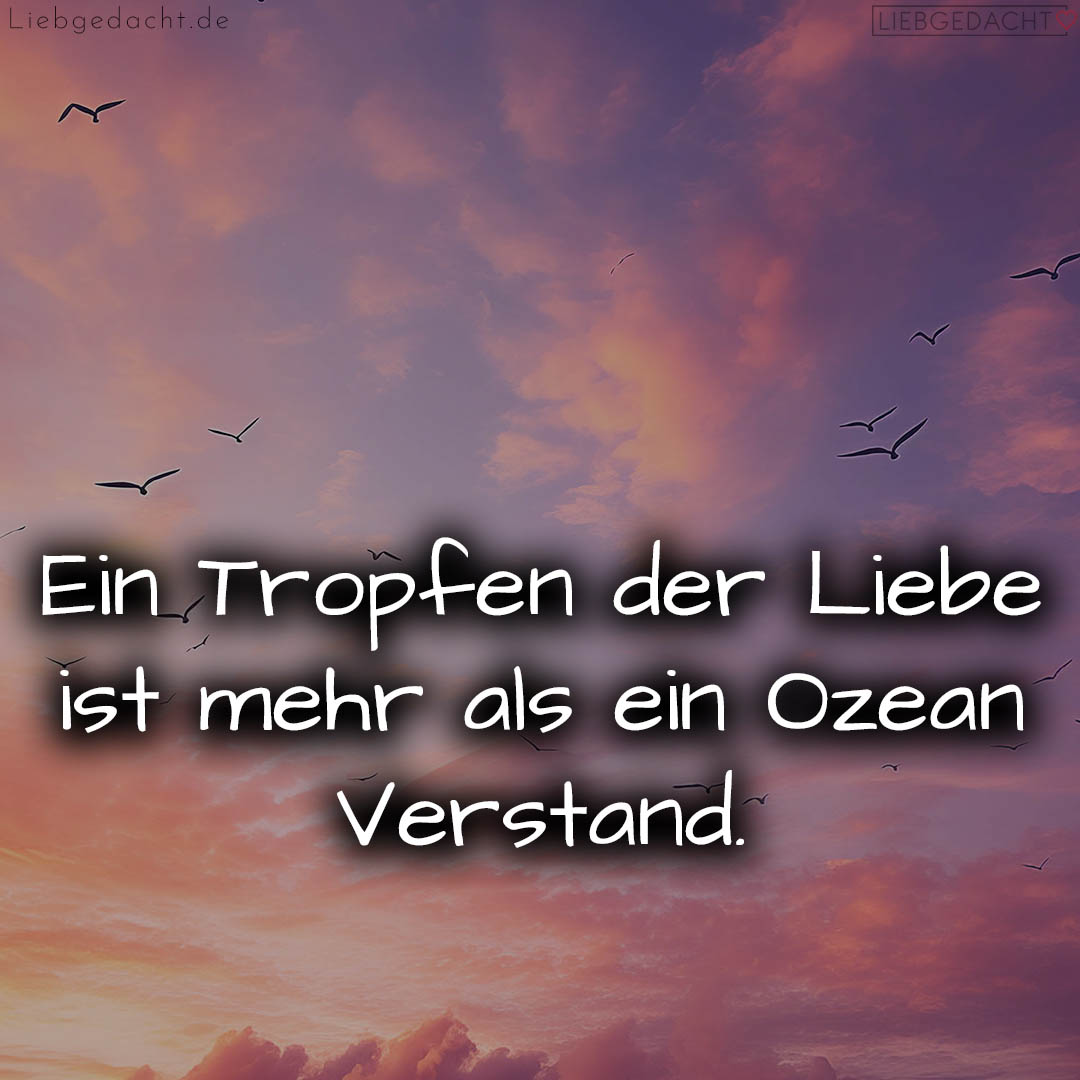 1716375994664dd1baee9d4