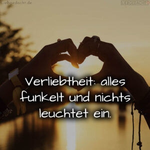 1716376003664dd1c3c65b0