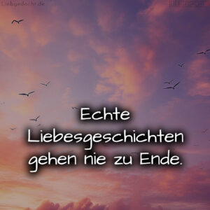 1716376023664dd1d7e161d