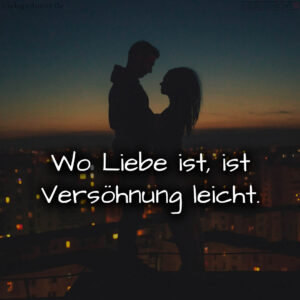 1716376029664dd1dd6f69d