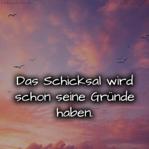 1716376078664dd20e37482