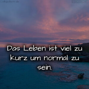 1716376086664dd216a628d