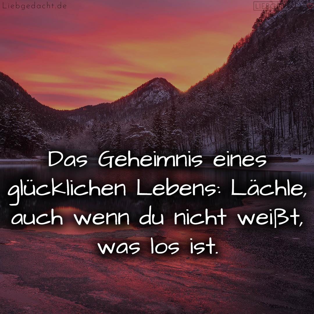 1716376112664dd2305beba