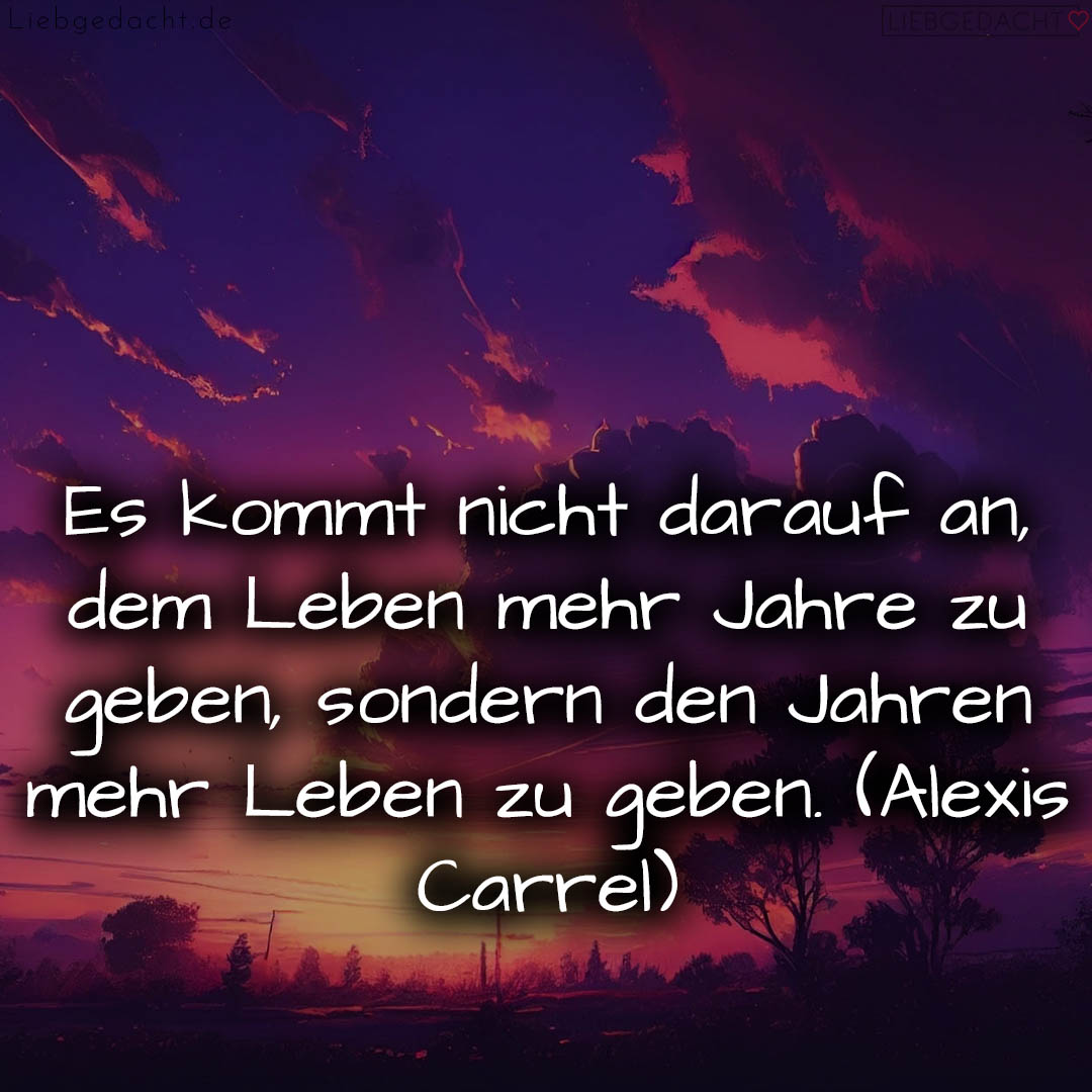 1716376117664dd2352f64a