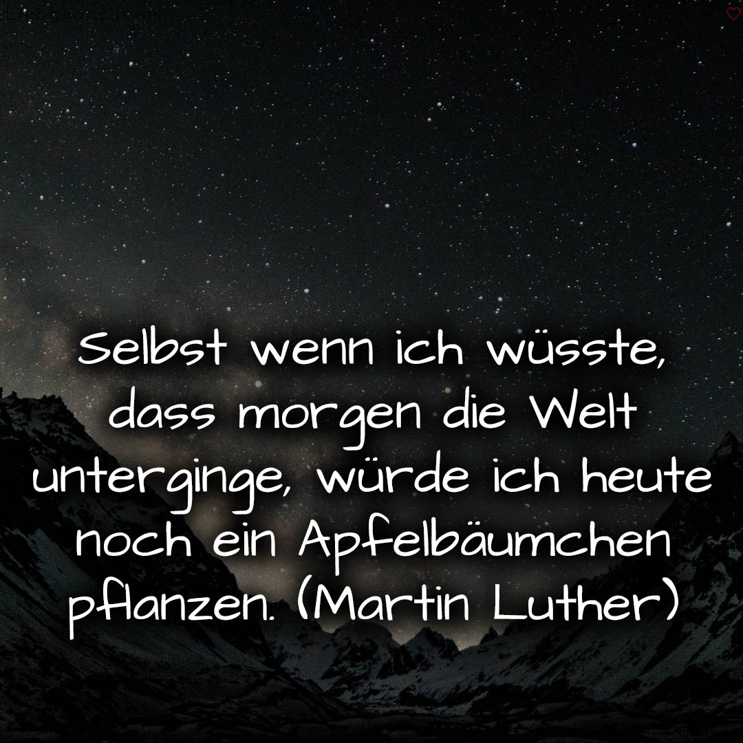 1716376141664dd24d638ae