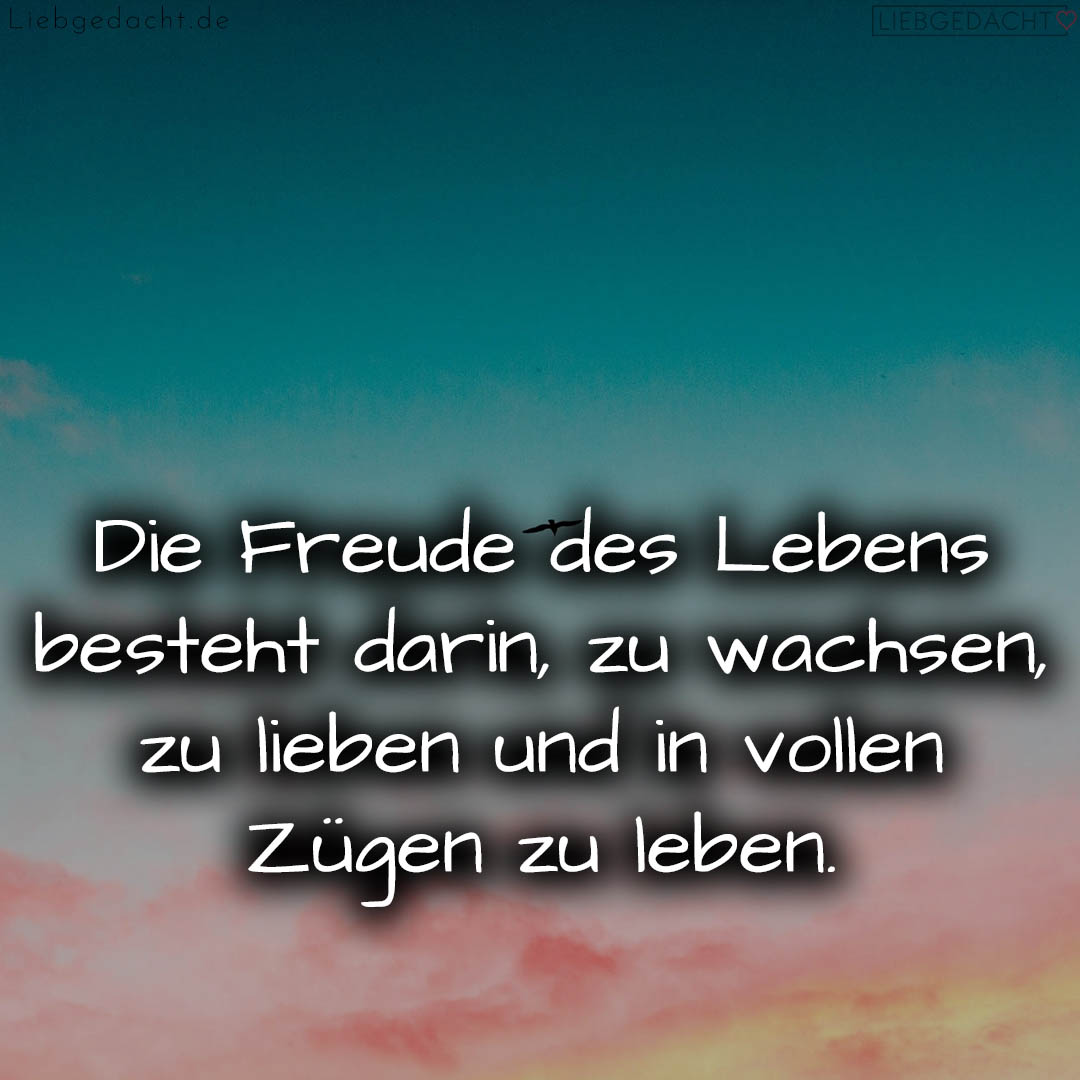 1716376173664dd26d0fd9e