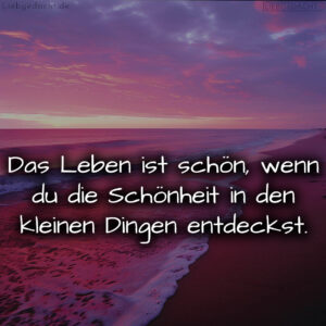 1716376185664dd279860b3