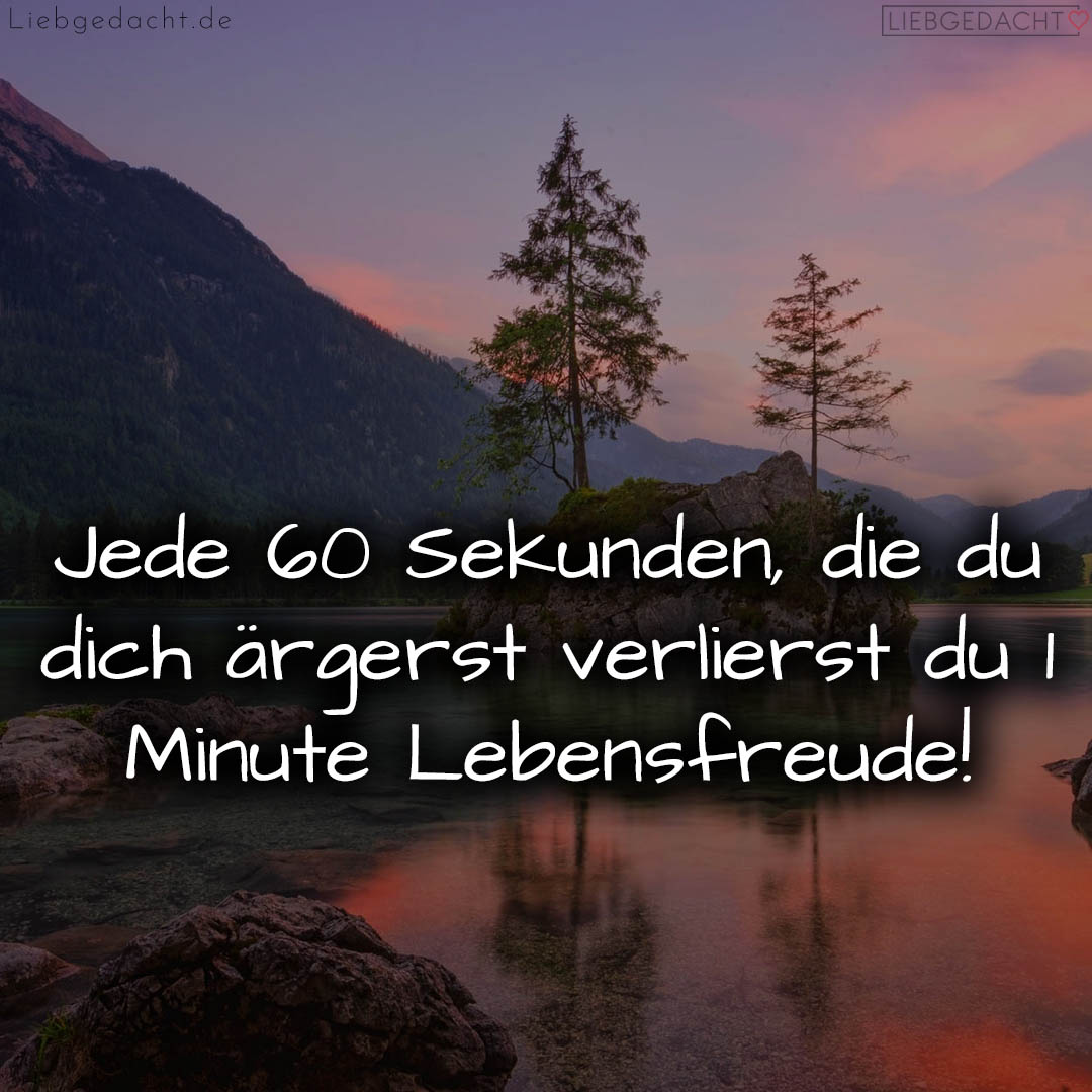 1716376198664dd2865190b