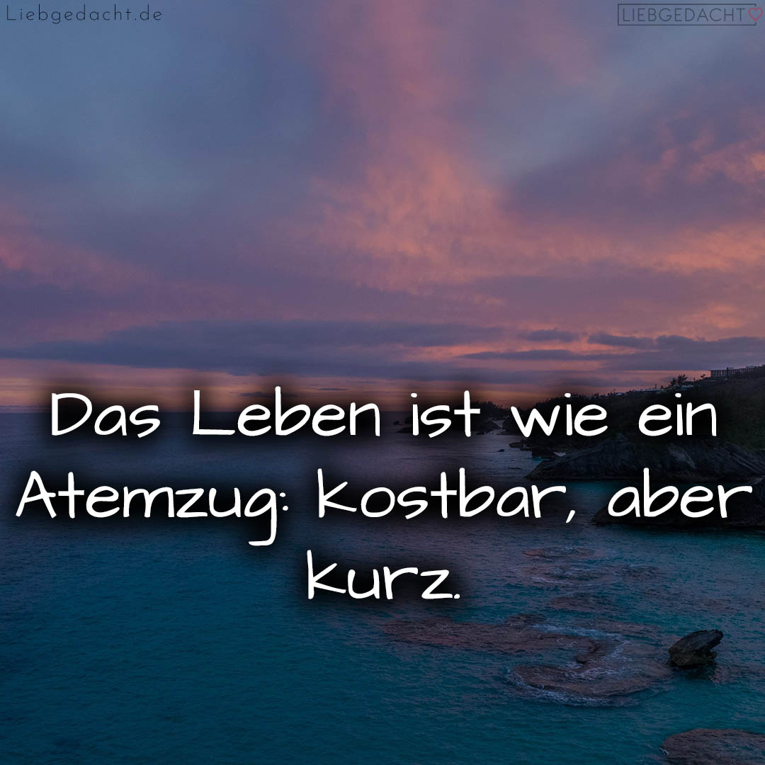 1716376207664dd28f5a04e