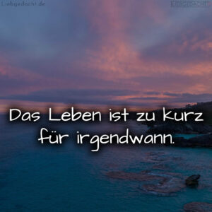 1716376209664dd291cb8ef