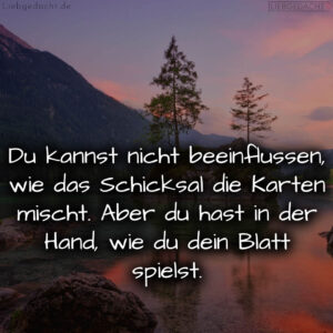 1716376213664dd295b25b1