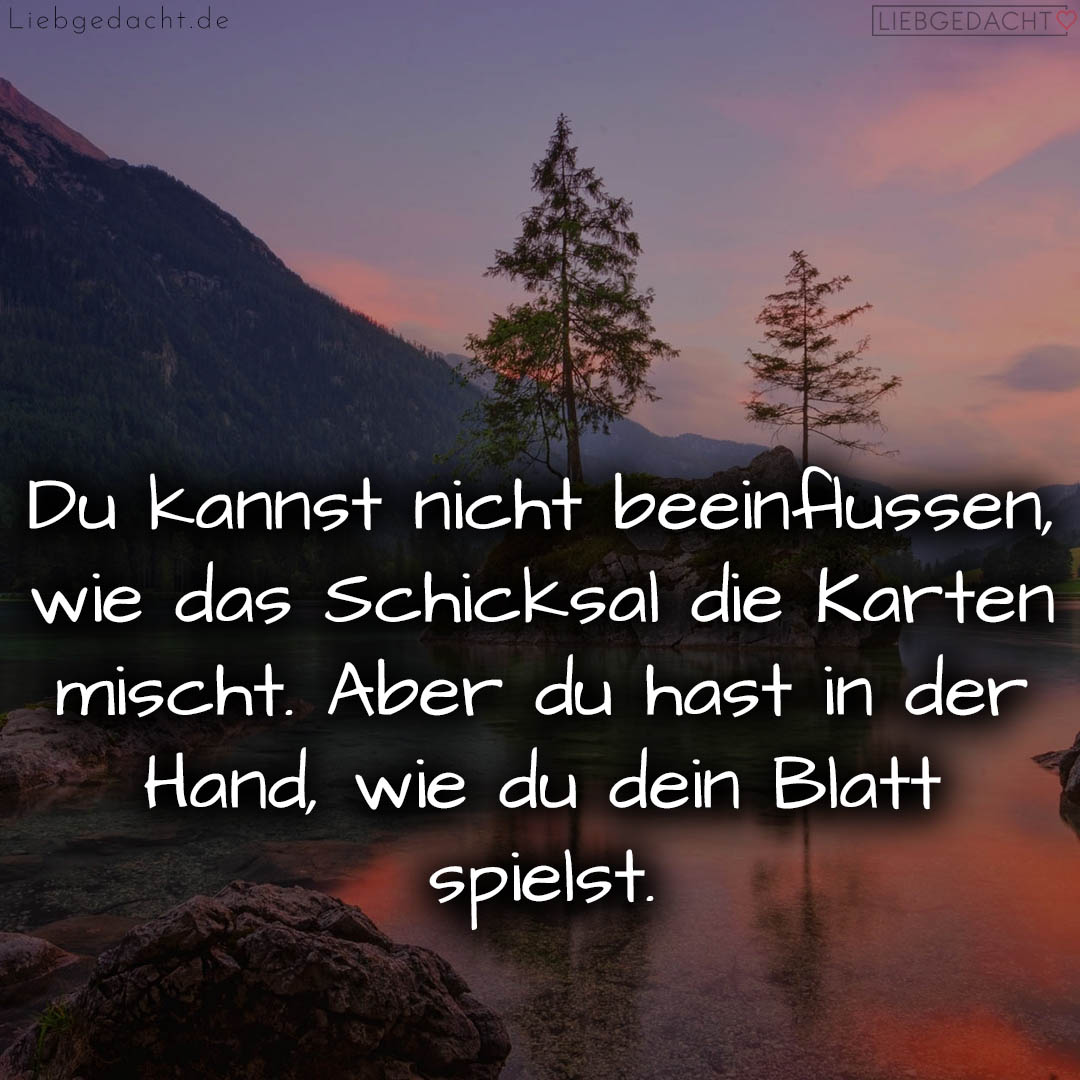 1716376213664dd295b25b1