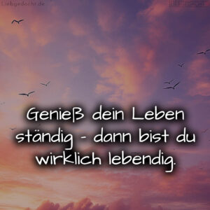 1716376222664dd29e0d092