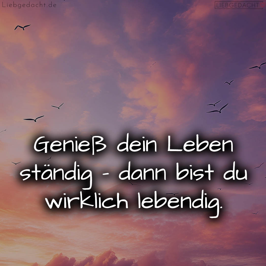 1716376222664dd29e0d092