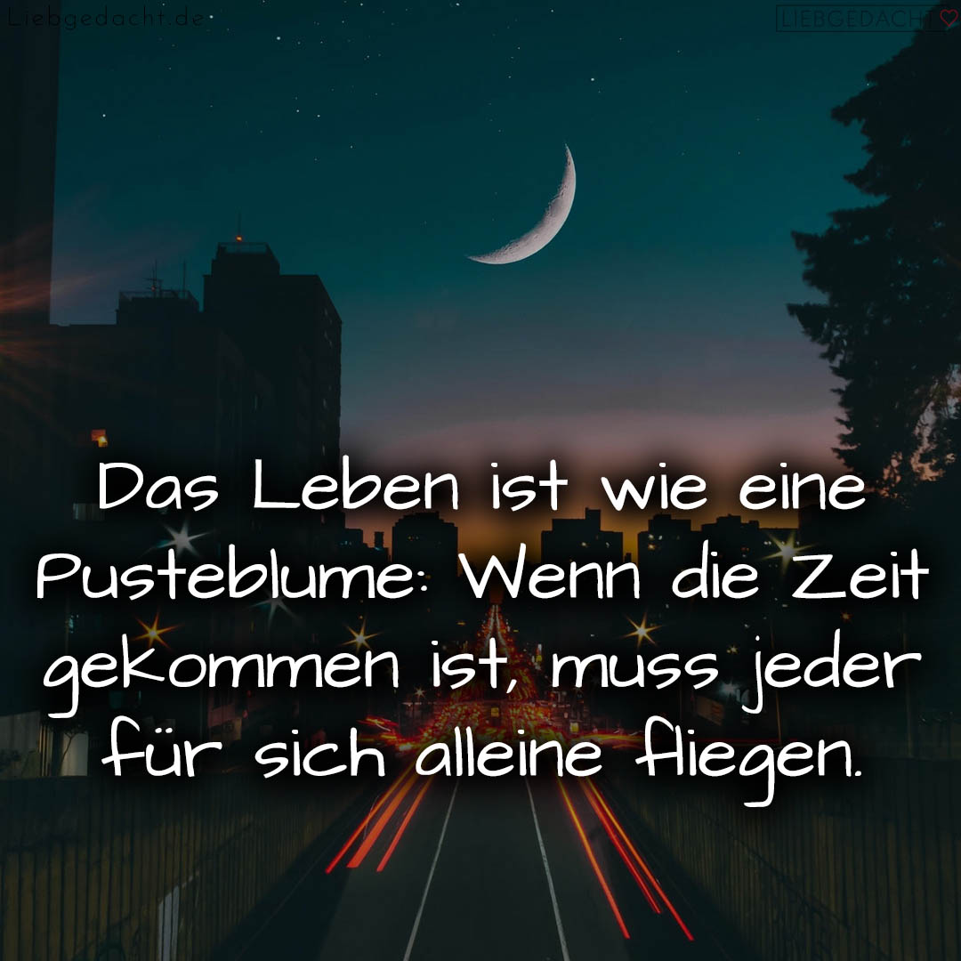 1716376233664dd2a9d03d7