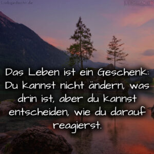 1716376242664dd2b242f7e