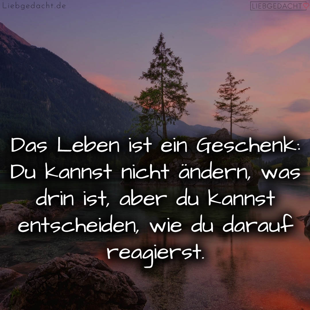 1716376242664dd2b242f7e