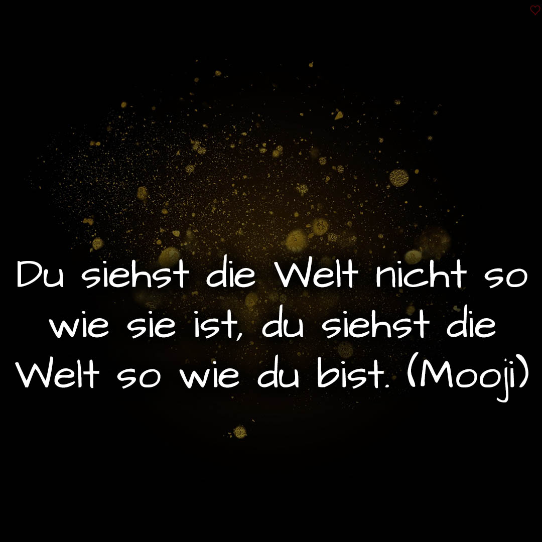 1716376256664dd2c0d32c7