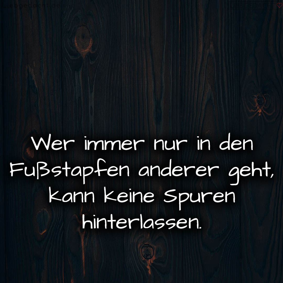 1716376264664dd2c8dc96b