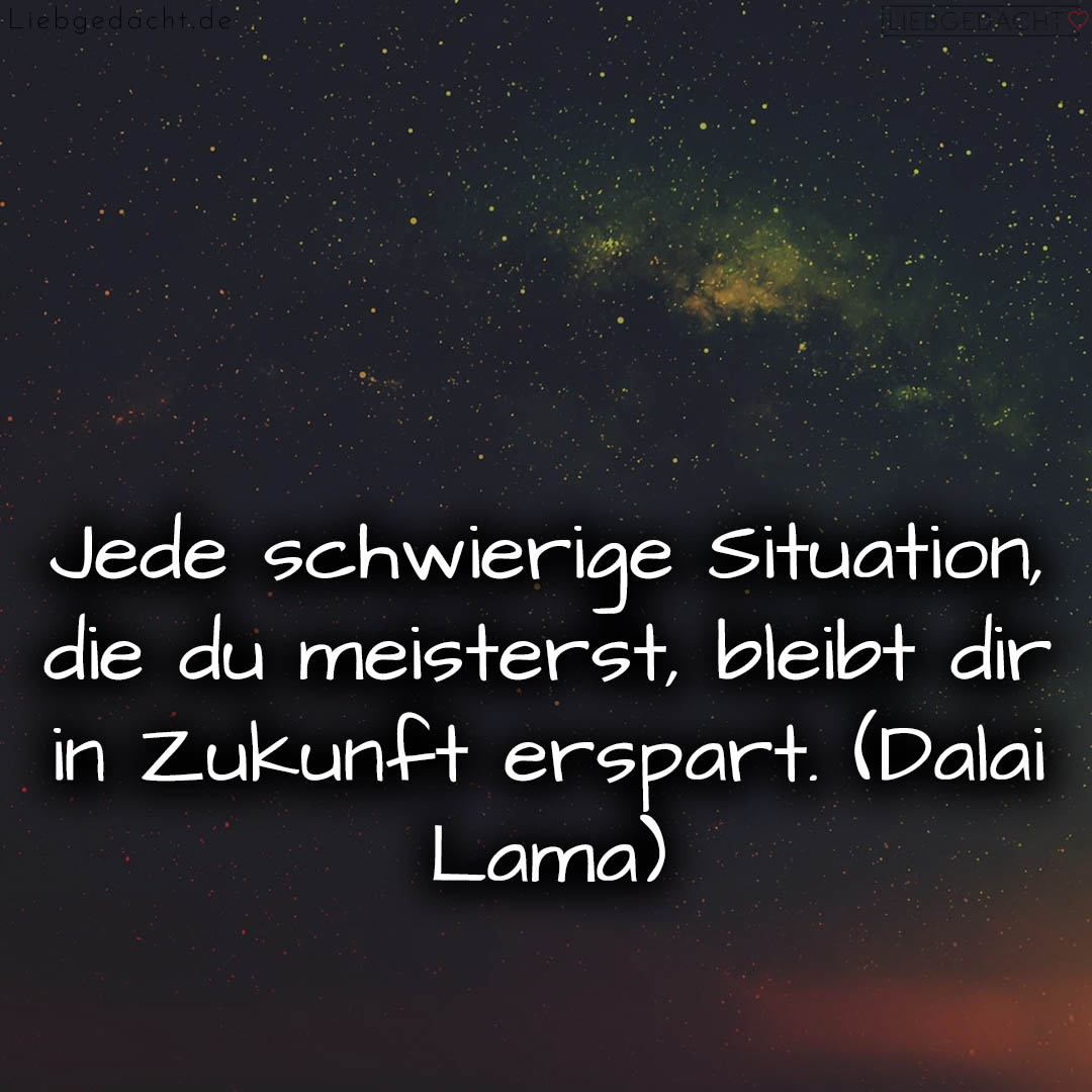 1716376271664dd2cf1eb50