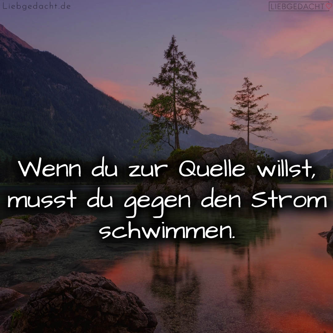 1716376282664dd2da33abb