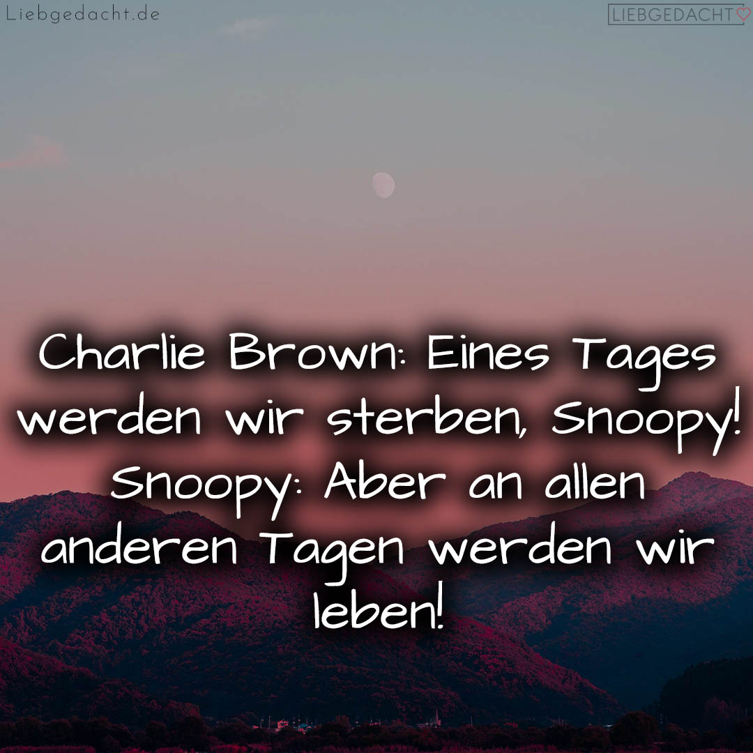 1716376292664dd2e4d6c15