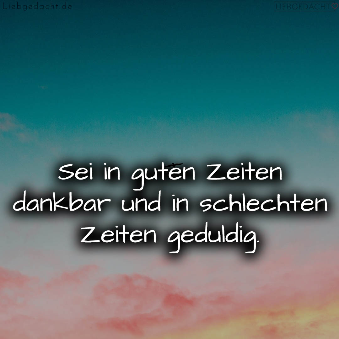 1716376338664dd31213a8c