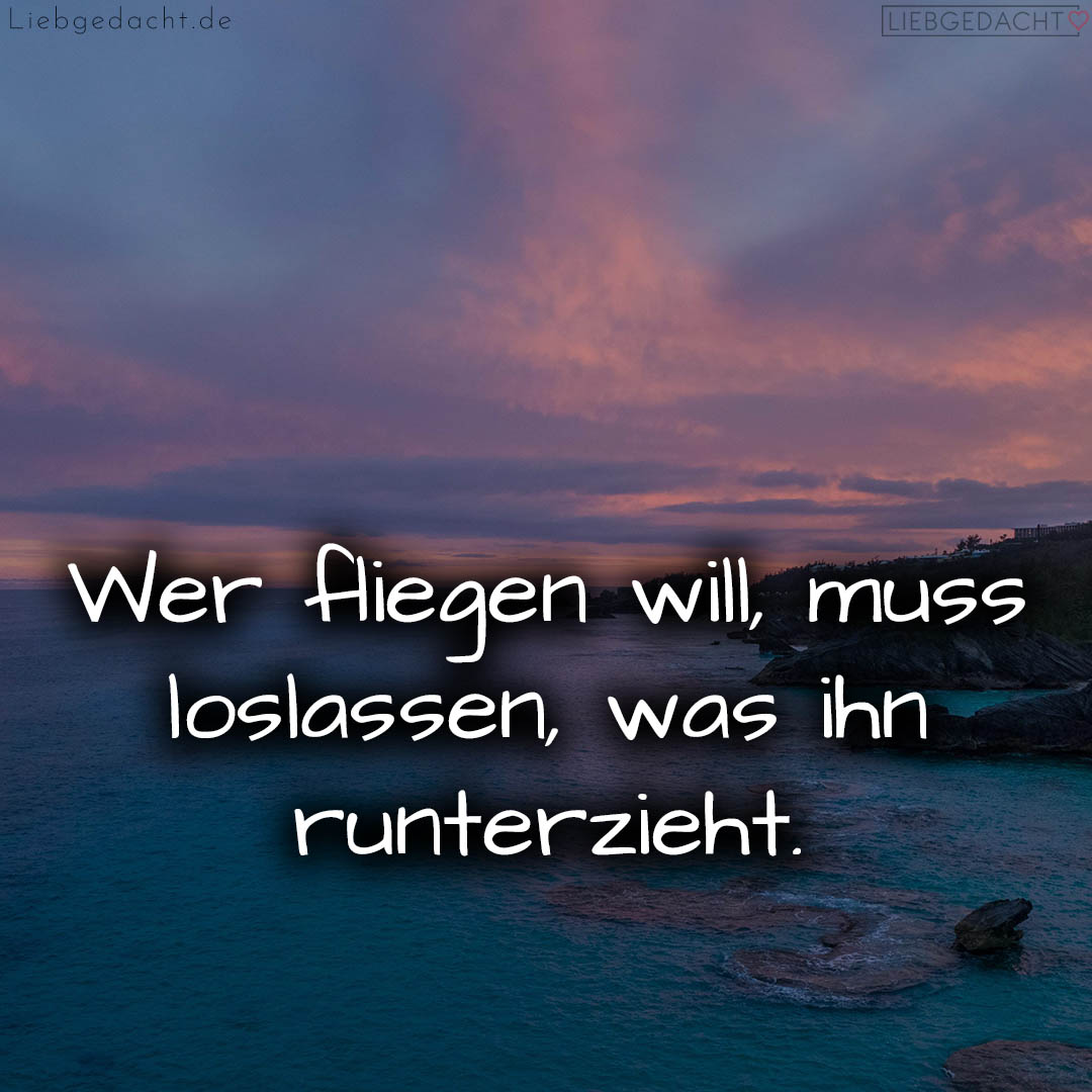 1716376353664dd3212551e