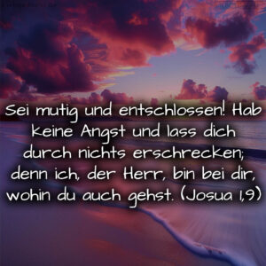 1716376374664dd33622c31