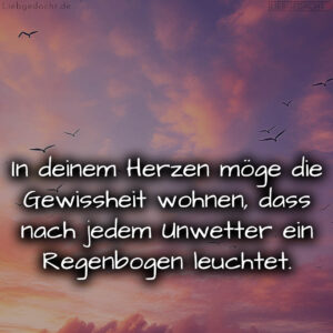 1716376378664dd33a5bc41