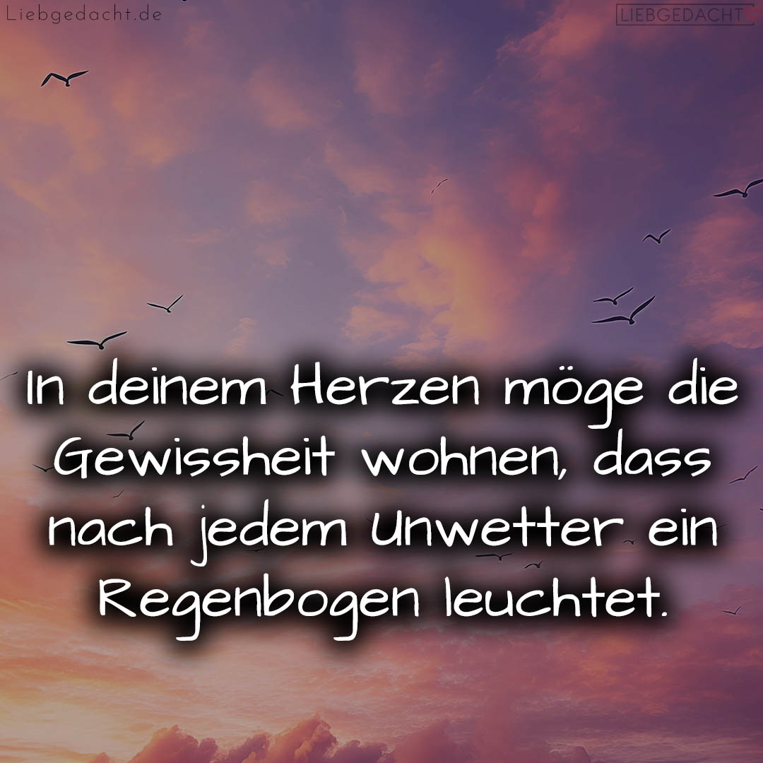 1716376378664dd33a5bc41