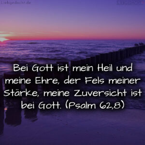 1716376382664dd33e925eb