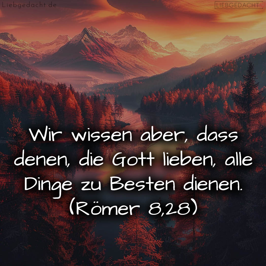 1716376384664dd340eb49a