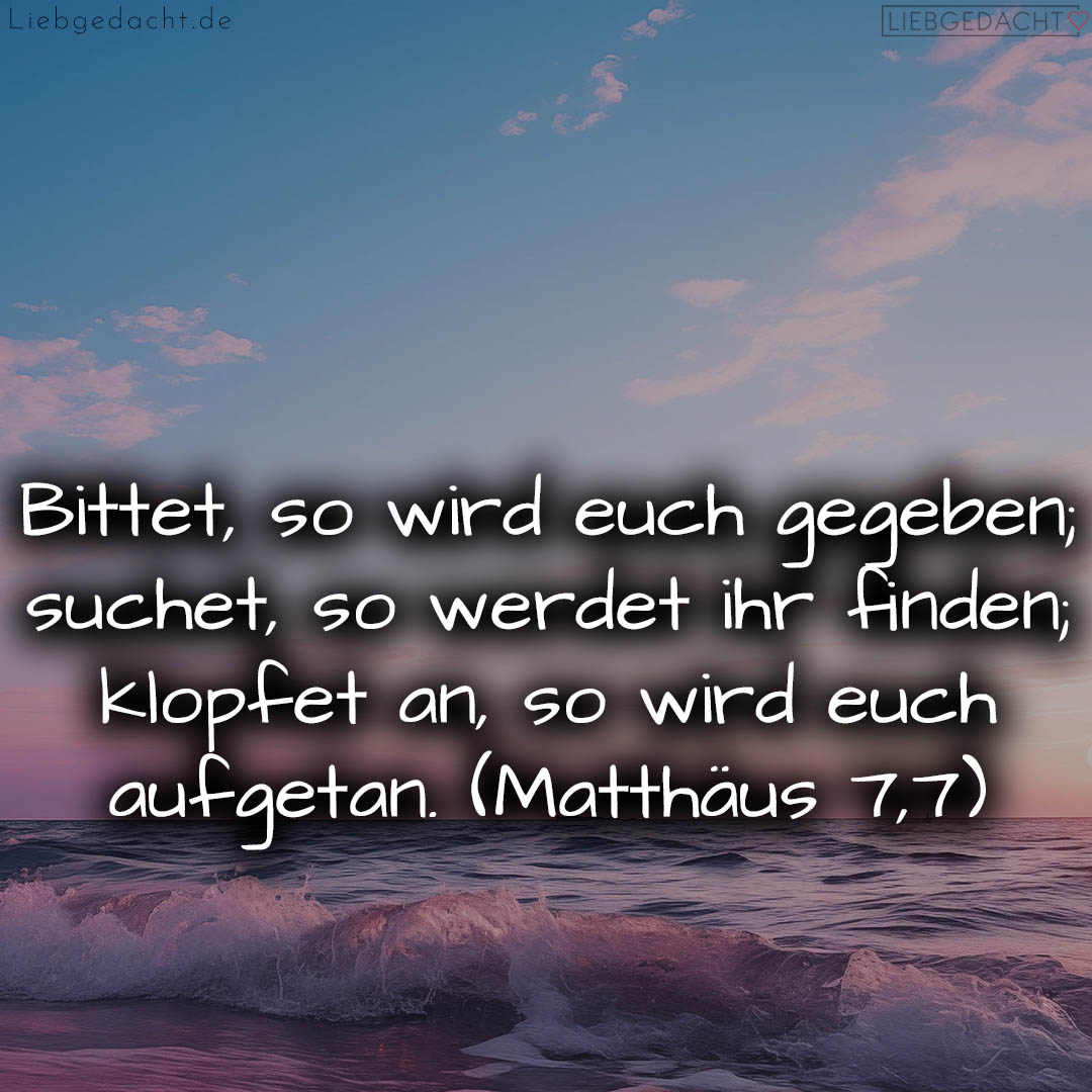 1716376386664dd342f062c