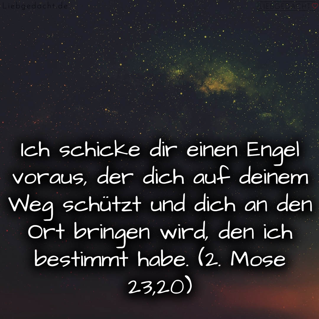 1716376389664dd34591329