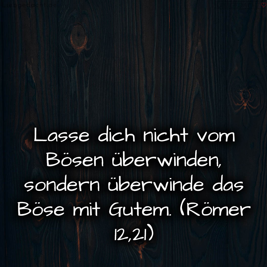 1716376394664dd34a2a2a2