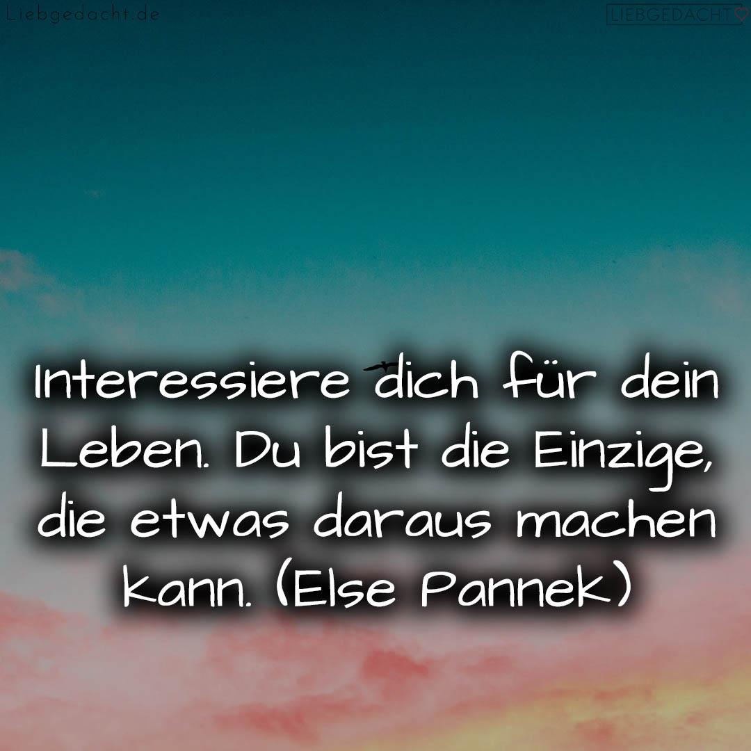 1716376398664dd34ed0a1b