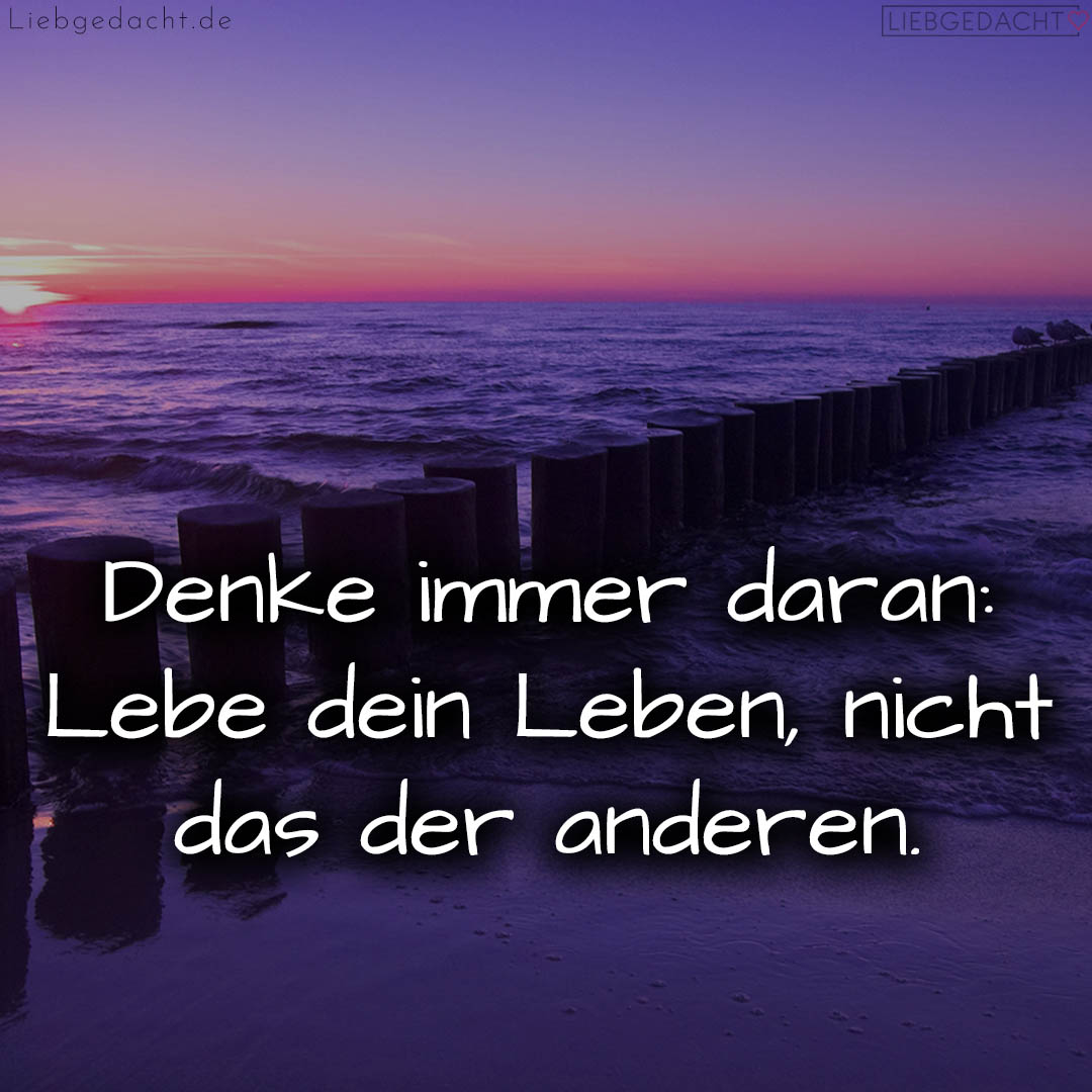 1716376400664dd3509cbf4