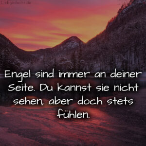 1716376418664dd36221501