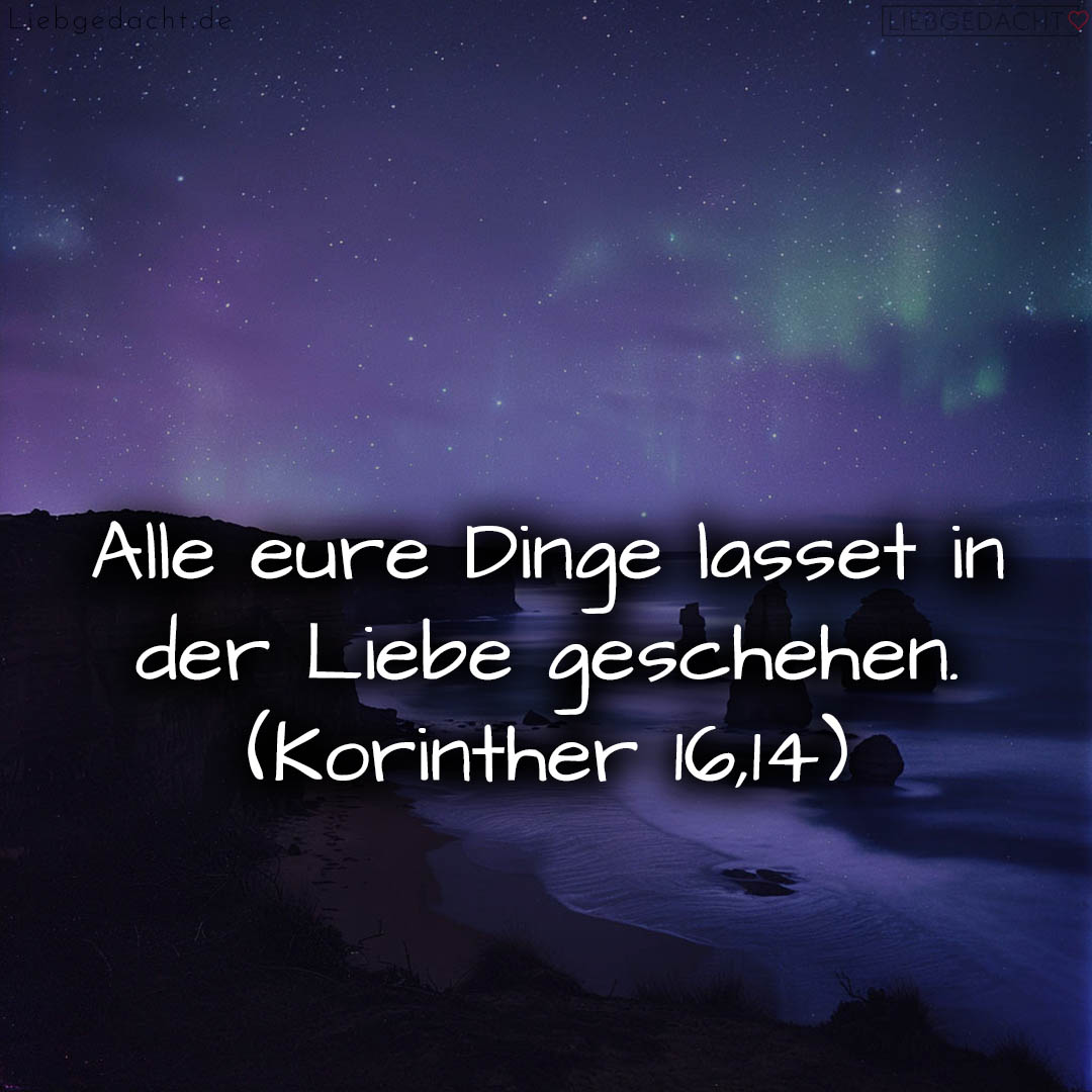 1716376431664dd36f0f977