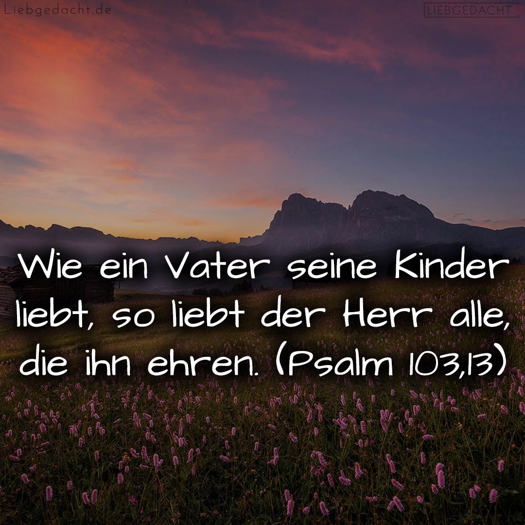 1716376433664dd37115f03