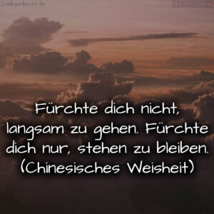 1716376450664dd382ab7d4