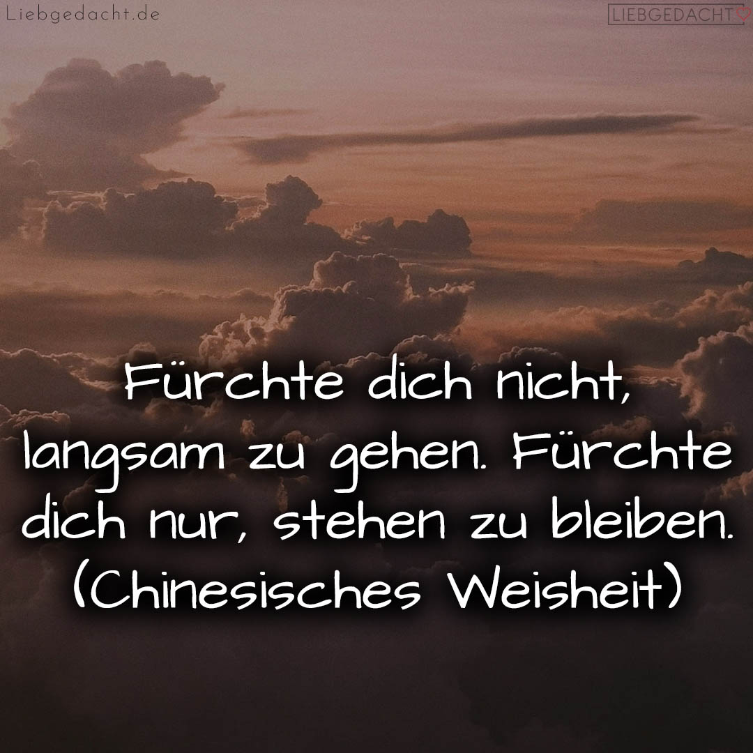 1716376450664dd382ab7d4