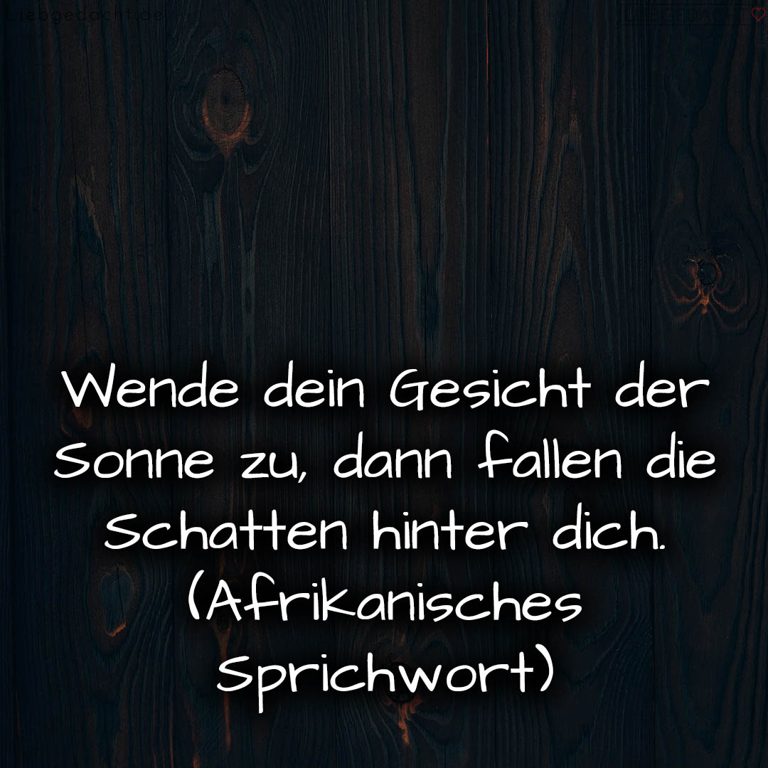 1716376450664dd382e518f