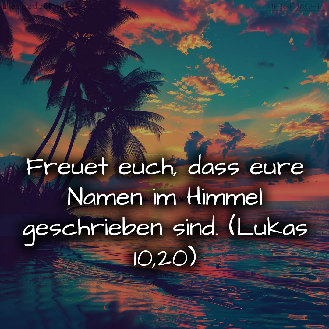 1716376456664dd388770df