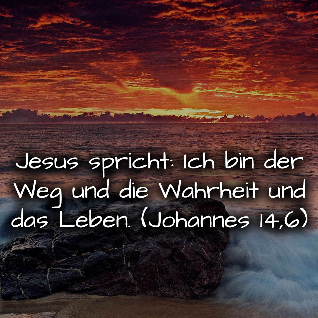 1716376460664dd38c9a45e