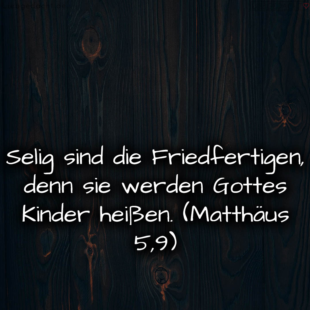 1716376465664dd39118f8e