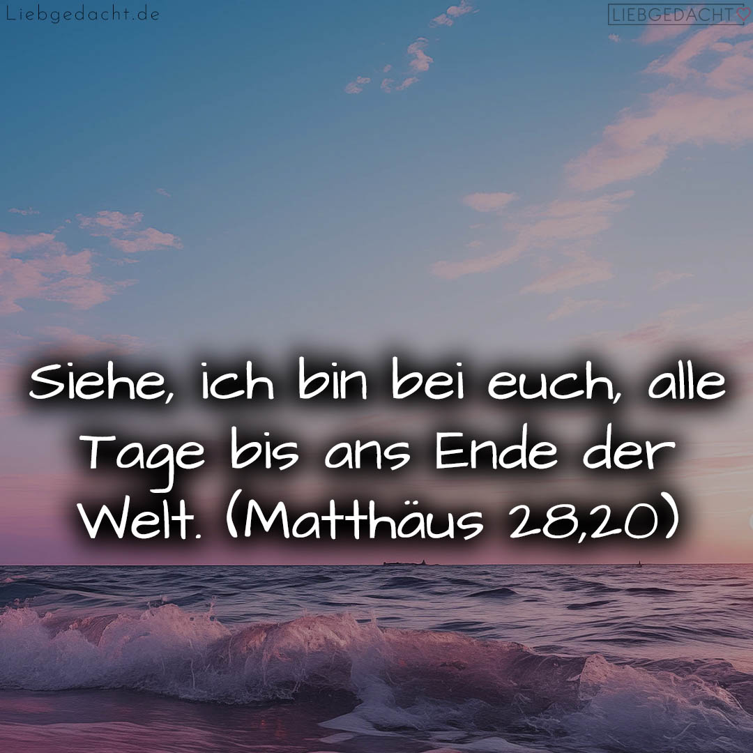 1716376467664dd3933c0ba